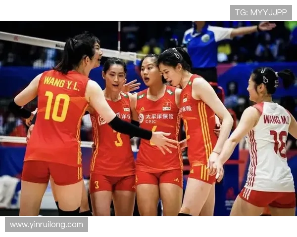 杭州排球队配合策略深度解析及对比研究